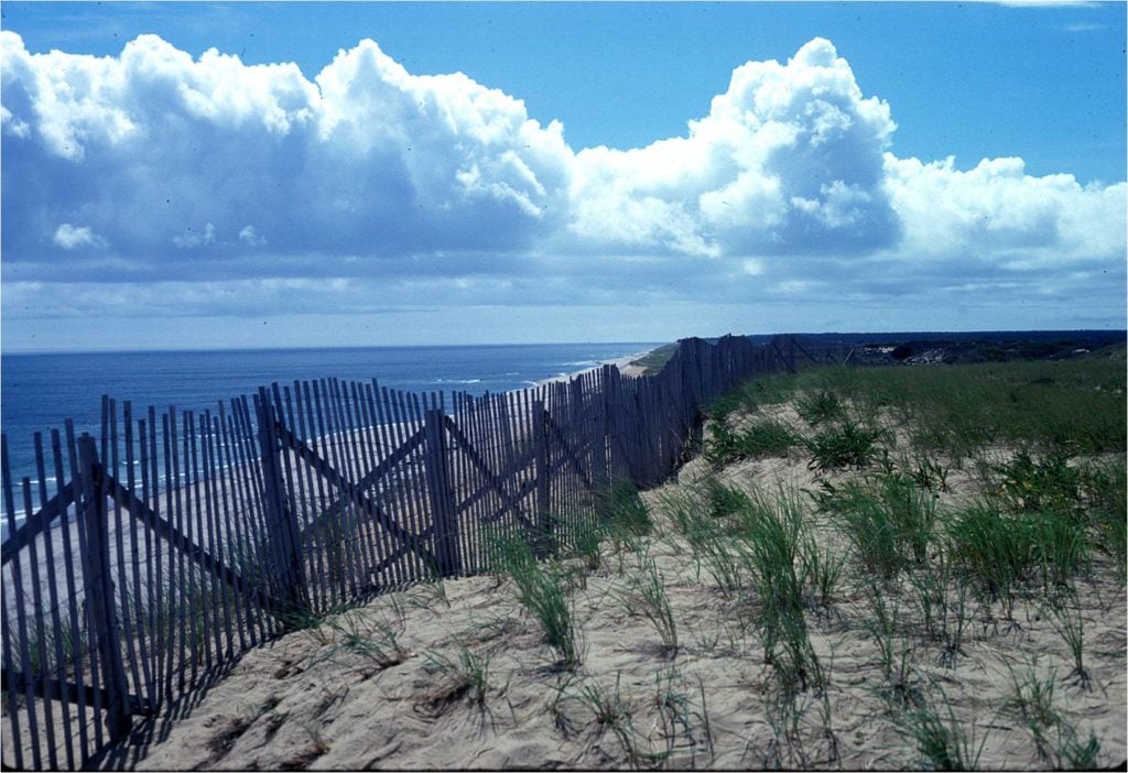 Travel Alone to Cape Cod